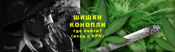 стафф Бронницы