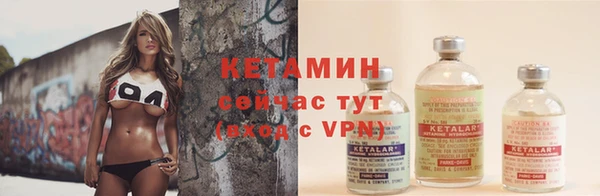 PSILOCYBIN Бугульма