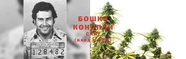 PSILOCYBIN Бугульма