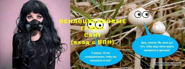 PSILOCYBIN Бугульма