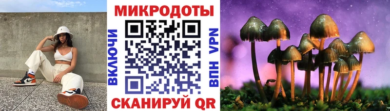 Псилоцибиновые грибы Psilocybine cubensis  купить   площадка какой сайт  Ангарск 